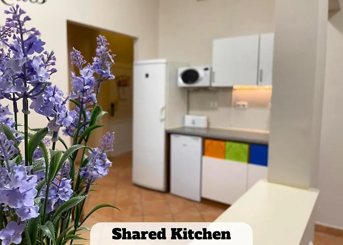 Black Sheep Smart * Budapest